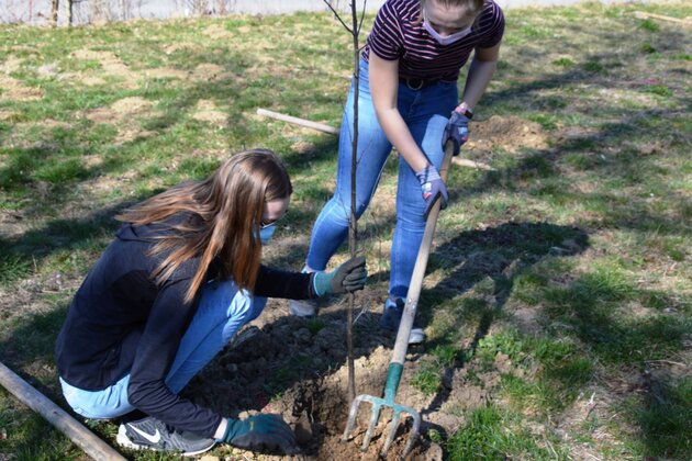 Berger Azubis pflanzen weitere Bäume